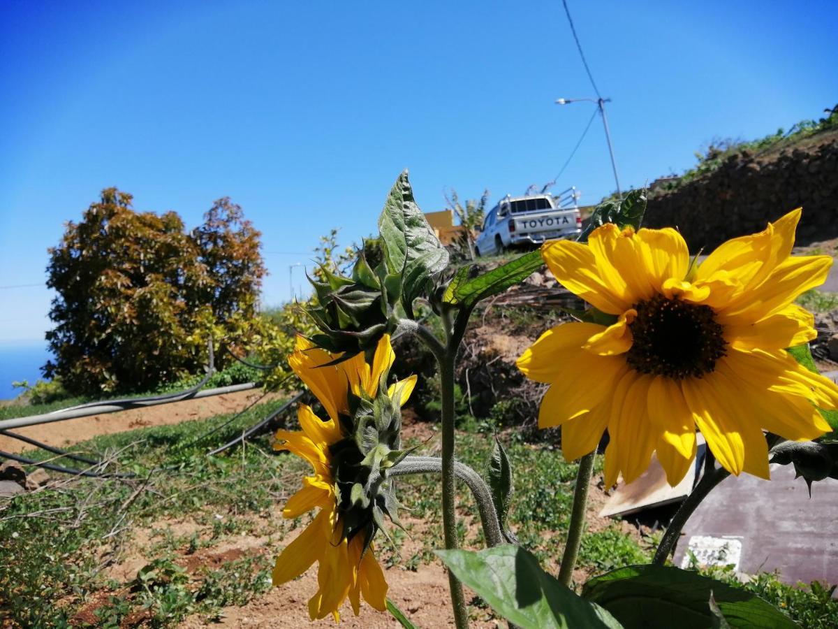 Green Village. Tony Frias. Fasnia Bagian luar foto