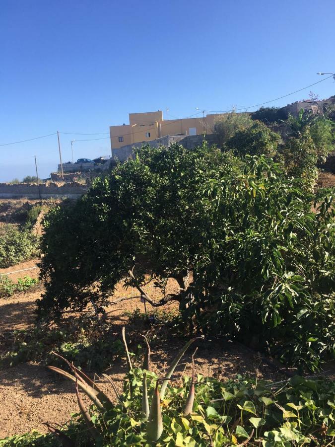 Green Village. Tony Frias. Fasnia Bagian luar foto